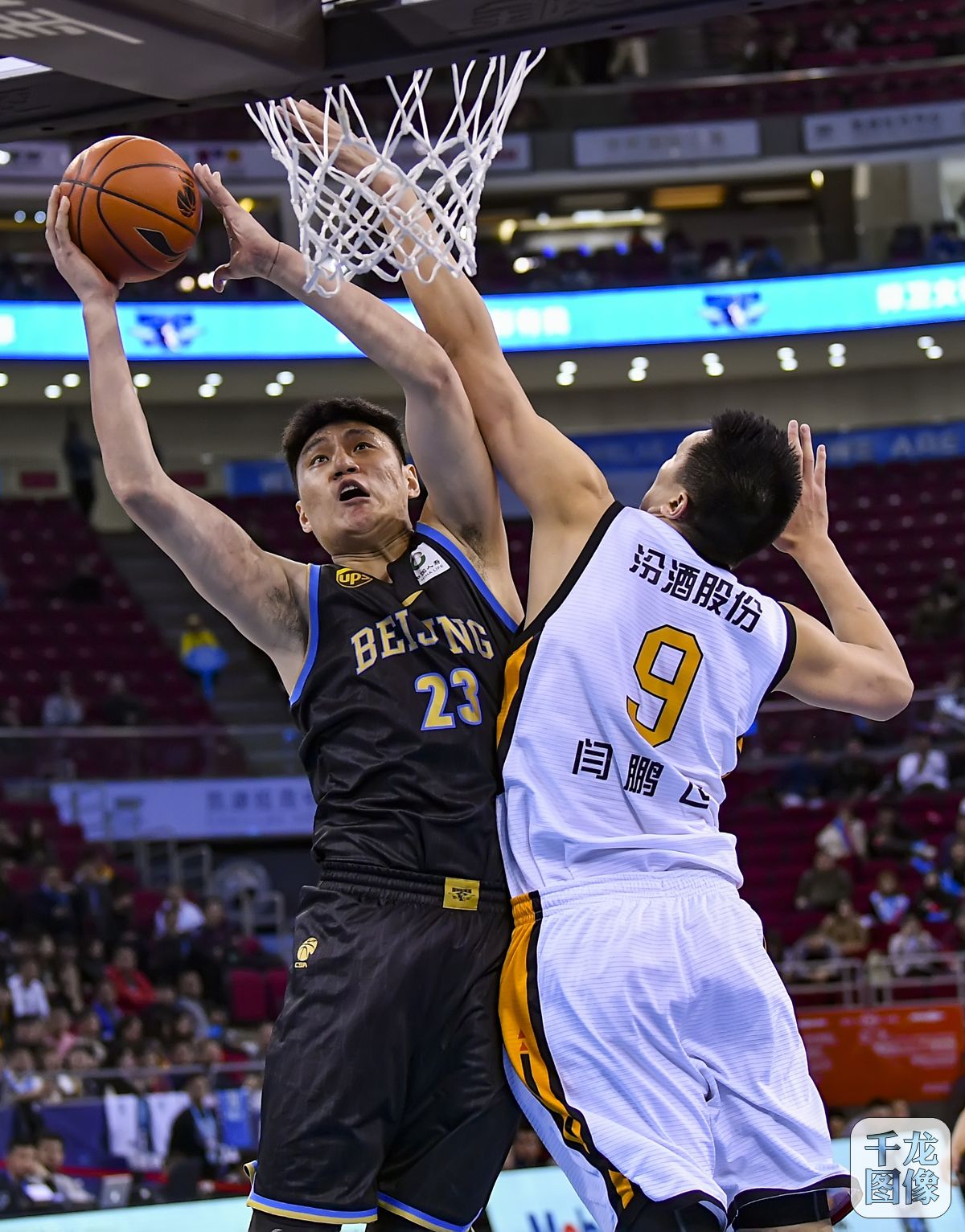 球收藏界带 球收藏界带